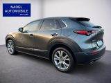 Mazda CX-30 bei Sportwagen.expert - Abbildung (4 / 15)