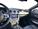 Ford Mustang bei Sportwagen.expert - Abbildung (6 / 8)