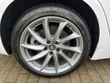 Alfa Romeo Giulia bei Sportwagen.expert - Abbildung (8 / 14)