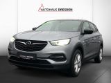 Opel Grandland X bei Sportwagen.expert - Abbildung (2 / 14)