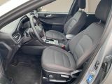 Ford Kuga bei Sportwagen.expert - Abbildung (7 / 15)