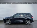 Ford Kuga bei Sportwagen.expert - Abbildung (3 / 15)