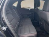 Ford Kuga bei Sportwagen.expert - Abbildung (11 / 15)