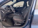 Ford Kuga bei Sportwagen.expert - Abbildung (7 / 15)