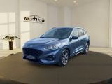 Ford Kuga bei Sportwagen.expert - Abbildung (2 / 15)