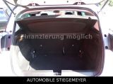 Renault Clio bei Sportwagen.expert - Abbildung (15 / 15)