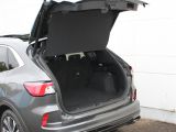 Ford Kuga bei Sportwagen.expert - Abbildung (11 / 15)