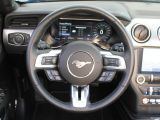 Ford Mustang bei Sportwagen.expert - Abbildung (12 / 15)