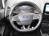 Ford EcoSport bei Sportwagen.expert - Abbildung (12 / 15)