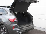 Ford Kuga bei Sportwagen.expert - Abbildung (9 / 15) Ford Kuga bei Sportwagen.expert - Abbildung (9 / 15)