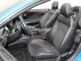 Ford Mustang bei Sportwagen.expert - Abbildung (2 / 15)