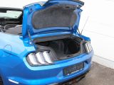 Ford Mustang bei Sportwagen.expert - Abbildung (9 / 15)