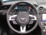 Ford Mustang bei Sportwagen.expert - Abbildung (13 / 15)