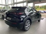 Mazda CX-30 bei Sportwagen.expert - Abbildung (2 / 15)