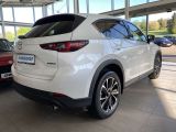 Mazda CX 5 bei Sportwagen.expert - Abbildung (2 / 15)