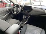 Suzuki S-Cross bei Sportwagen.expert - Abbildung (3 / 15)