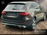 Mercedes-Benz GLC 250 4MATIC bei Sportwagen.expert - Abbildung (2 / 9)