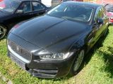 Jaguar XE bei Sportwagen.expert - Abbildung (2 / 14)