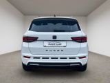 Cupra Ateca bei Sportwagen.expert - Abbildung (13 / 15)