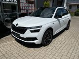 Skoda Kamiq bei Sportwagen.expert - Abbildung (2 / 15)