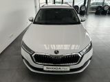 Skoda Octavia bei Sportwagen.expert - Abbildung (3 / 15)