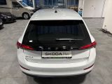 Skoda Scala bei Sportwagen.expert - Abbildung (6 / 15)