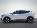 Cupra Formentor bei Sportwagen.expert - Abbildung (4 / 15)
