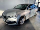 Skoda Scala bei Sportwagen.expert - Abbildung (2 / 15)