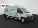 Opel Movano bei Sportwagen.expert - Abbildung (3 / 15)