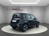 Fiat Panda bei Sportwagen.expert - Abbildung (3 / 15)