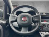 Fiat Panda bei Sportwagen.expert - Abbildung (11 / 15)