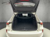 Opel Astra bei Sportwagen.expert - Abbildung (14 / 15) Opel Astra bei Sportwagen.expert - Abbildung (14 / 15)