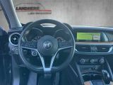 Alfa Romeo Stelvio bei Sportwagen.expert - Abbildung (4 / 15)