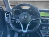 Alfa Romeo Stelvio bei Sportwagen.expert - Abbildung (5 / 15)