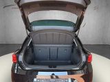 Seat Leon bei Sportwagen.expert - Abbildung (14 / 15)