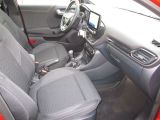 Ford Puma bei Sportwagen.expert - Abbildung (14 / 15)