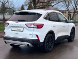 Ford Kuga bei Sportwagen.expert - Abbildung (6 / 14)