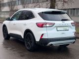 Ford Kuga bei Sportwagen.expert - Abbildung (5 / 14)