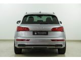 Audi SQ5 bei Sportwagen.expert - Abbildung (5 / 15)