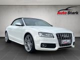 Audi S5 bei Sportwagen.expert - Abbildung (2 / 15)