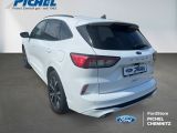 Ford Kuga bei Sportwagen.expert - Abbildung (3 / 15)