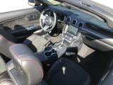 Ford Mustang bei Sportwagen.expert - Abbildung (6 / 15)