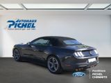 Ford Mustang bei Sportwagen.expert - Abbildung (3 / 15)