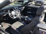 Ford Mustang bei Sportwagen.expert - Abbildung (14 / 15)