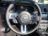 Ford Mustang bei Sportwagen.expert - Abbildung (12 / 15)