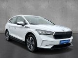 Skoda Enyaq bei Sportwagen.expert - Abbildung (4 / 15)