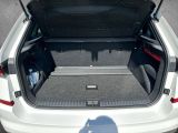 Skoda Kamiq bei Sportwagen.expert - Abbildung (10 / 15) Skoda Kamiq bei Sportwagen.expert - Abbildung (10 / 15)