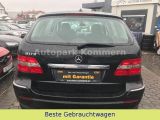 Mercedes-Benz B bei Sportwagen.expert - Abbildung (6 / 15)