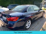 BMW 4er bei Sportwagen.expert - Abbildung (5 / 15)