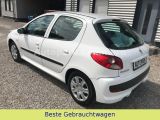 Peugeot 206 bei Sportwagen.expert - Abbildung (8 / 15)